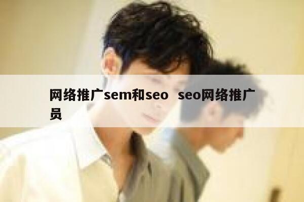 网络推广sem和seo  seo网络推广员
