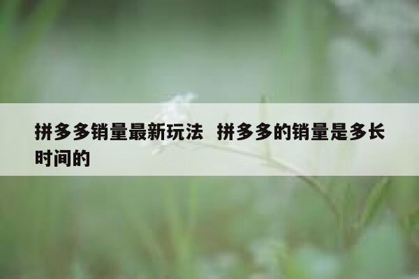 拼多多销量最新玩法  拼多多的销量是多长时间的