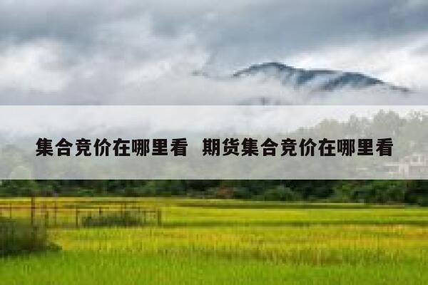 集合竞价在哪里看  期货集合竞价在哪里看
