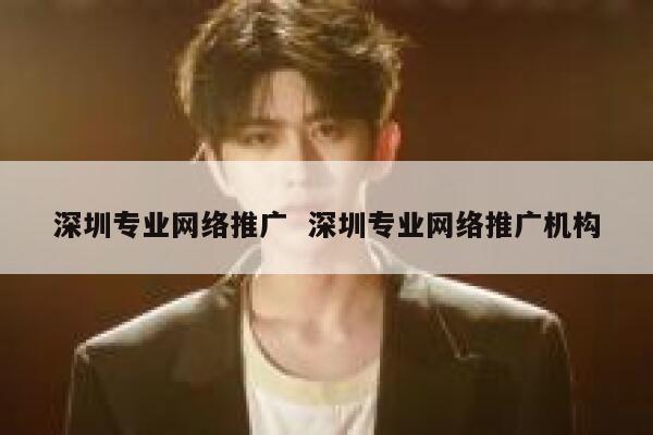 深圳专业网络推广  深圳专业网络推广机构