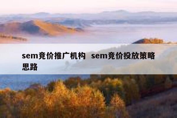 sem竞价推广机构  sem竞价投放策略思路