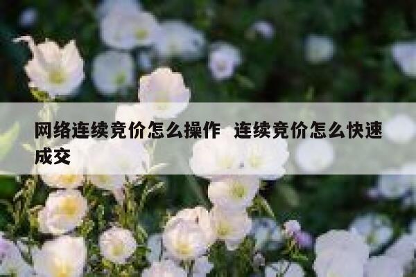 网络连续竞价怎么操作  连续竞价怎么快速成交