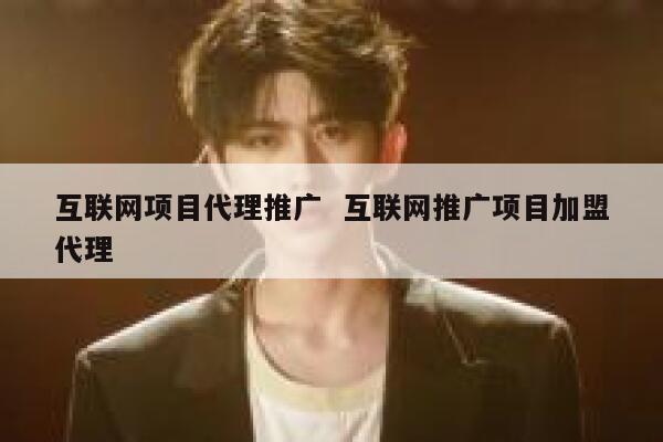互联网项目代理推广  互联网推广项目加盟代理