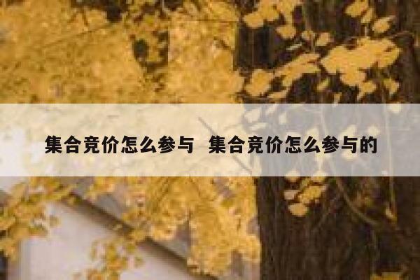 集合竞价怎么参与  集合竞价怎么参与的