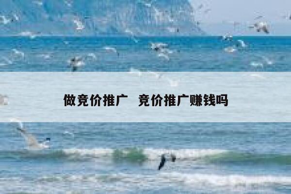 做竞价推广  竞价推广赚钱吗