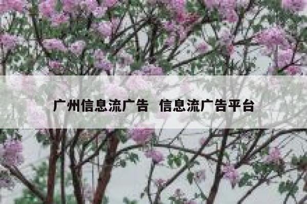 广州信息流广告  信息流广告平台 第1张