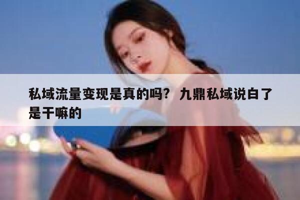 私域流量变现是真的吗?  九鼎私域说白了是干嘛的