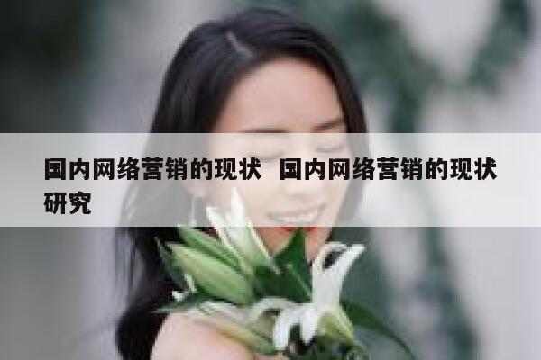 国内网络营销的现状  国内网络营销的现状研究