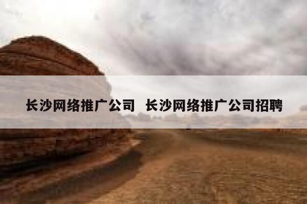 长沙网络推广公司  长沙网络推广公司招聘