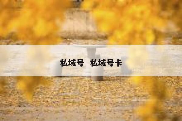 私域号  私域号卡 第1张
