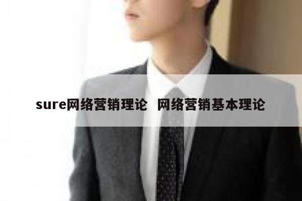sure网络营销理论  网络营销基本理论