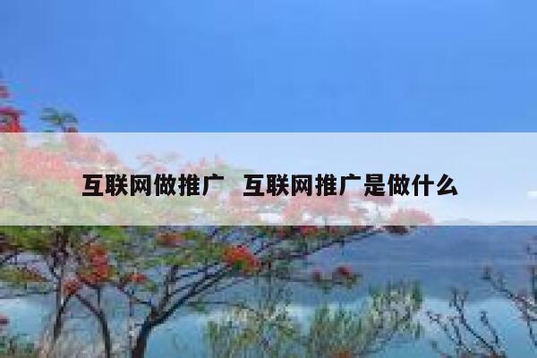 互联网做推广  互联网推广是做什么
