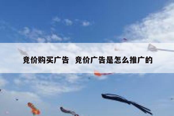 竞价购买广告 竞价广告是怎么推广的 第1张 竞价购买广告 竞价广告是怎么推广的 第1张