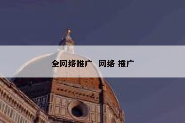全网络推广  网络 推广