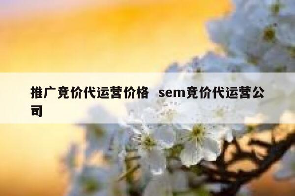 推广竞价代运营价格  sem竞价代运营公司 第1张