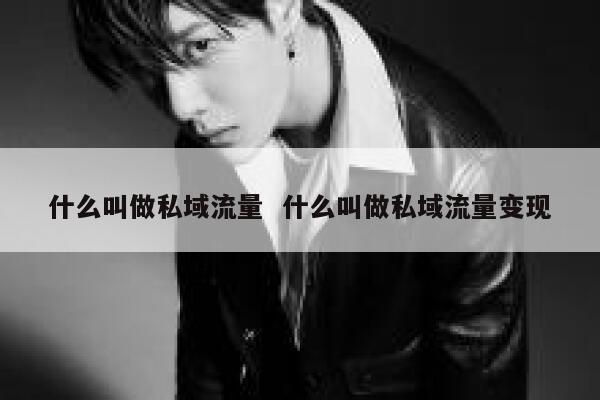 什么叫做私域流量  什么叫做私域流量变现