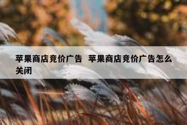 苹果商店竞价广告  苹果商店竞价广告怎么关闭
