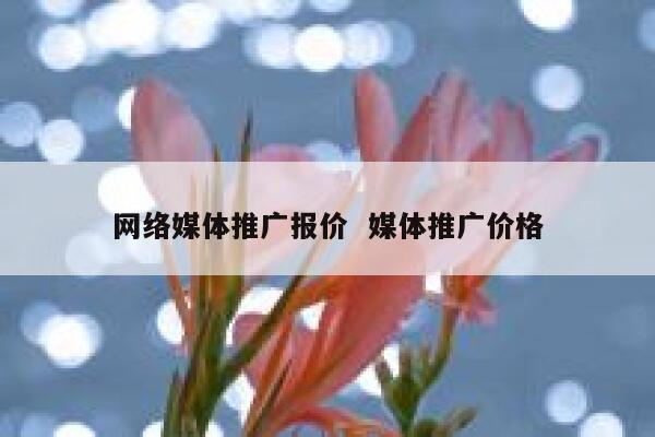 网络媒体推广报价  媒体推广价格