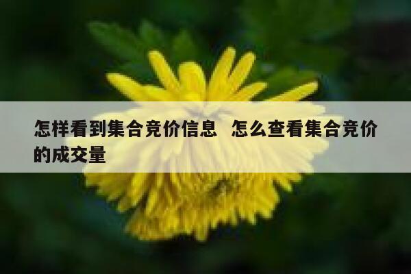 怎样看到集合竞价信息  怎么查看集合竞价的成交量 第1张