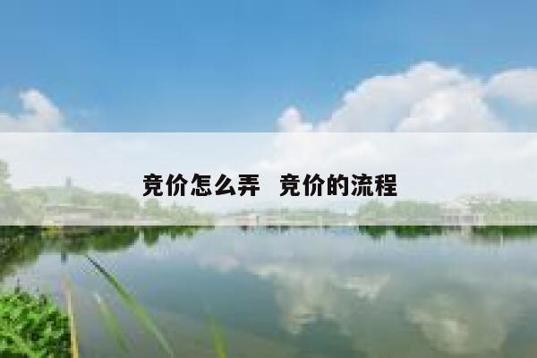 竞价怎么弄  竞价的流程