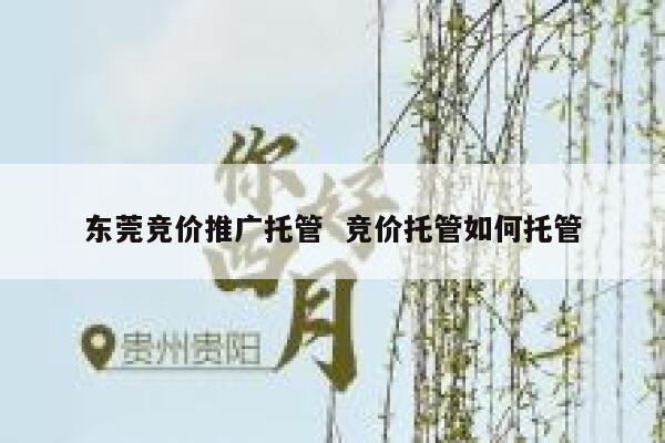 东莞竞价推广托管  竞价托管如何托管