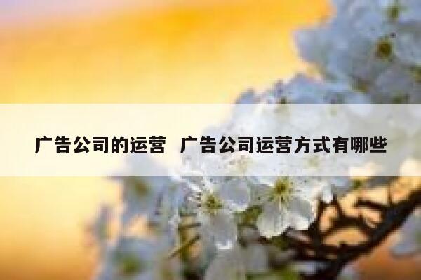 广告公司的运营  广告公司运营方式有哪些