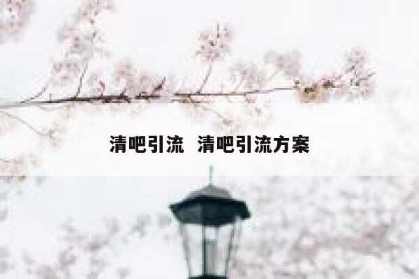 清吧引流  清吧引流方案