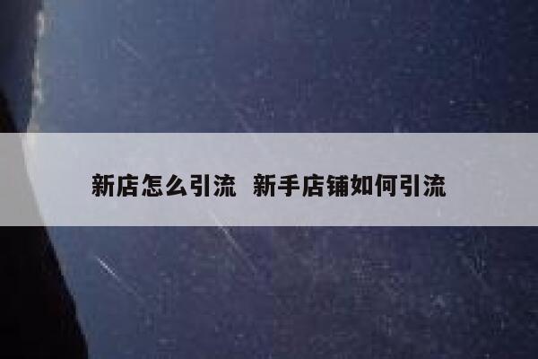 新店怎么引流  新手店铺如何引流 第1张
