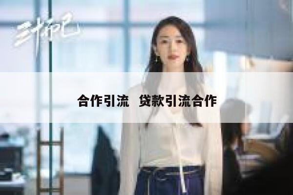 合作引流  贷款引流合作