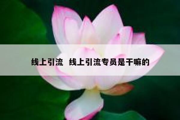 线上引流  线上引流专员是干嘛的