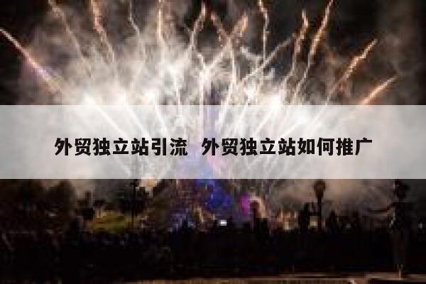 外贸独立站引流  外贸独立站如何推广