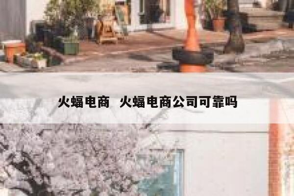 火蝠电商  火蝠电商公司可靠吗