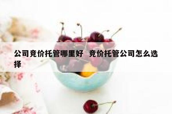 公司竞价托管哪里好  竞价托管公司怎么选择