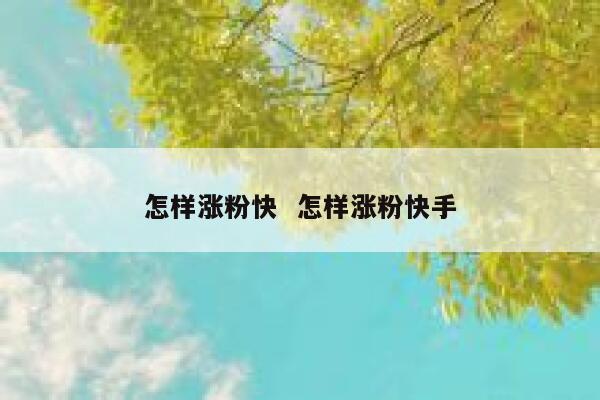 怎样涨粉快  怎样涨粉快手