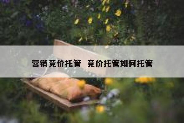 营销竞价托管  竞价托管如何托管