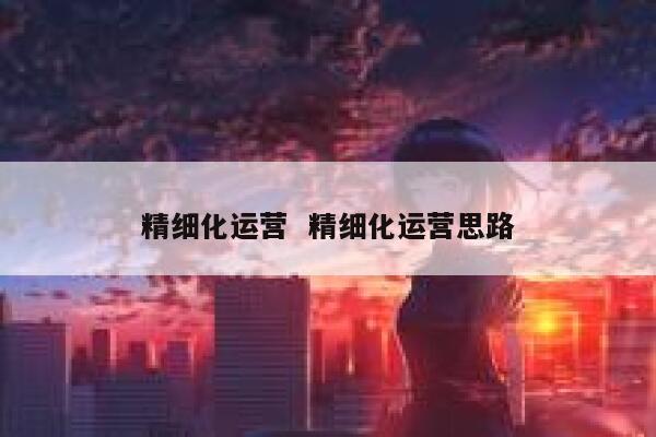 精细化运营  精细化运营思路