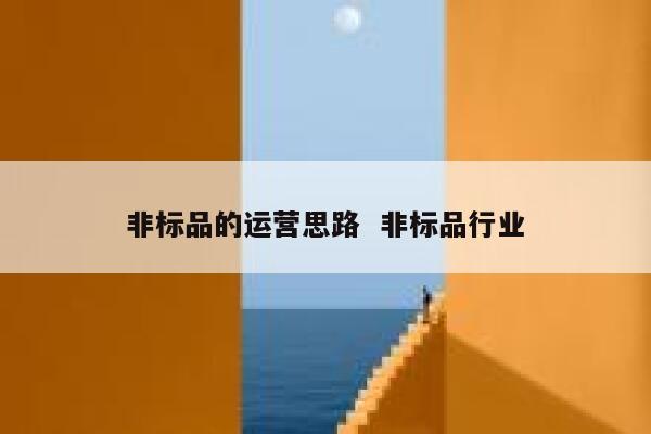 非标品的运营思路  非标品行业