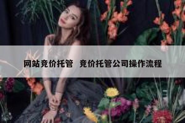 网站竞价托管  竞价托管公司操作流程