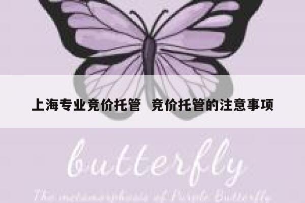 上海专业竞价托管  竞价托管的注意事项