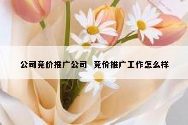 公司竞价推广公司  竞价推广工作怎么样