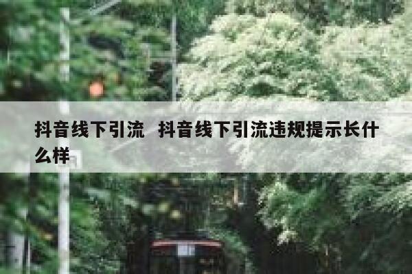 抖音线下引流  抖音线下引流违规提示长什么样