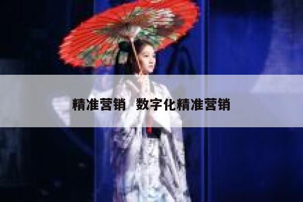 精准营销  数字化精准营销