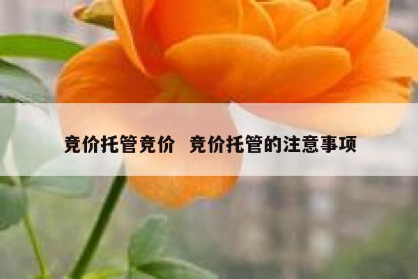 竞价托管竞价  竞价托管的注意事项