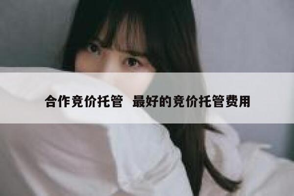 合作竞价托管  最好的竞价托管费用