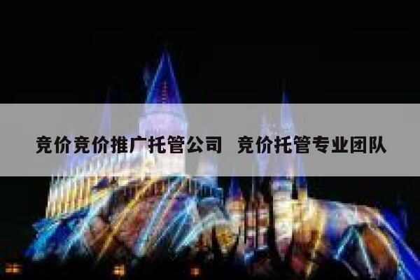 竞价竞价推广托管公司  竞价托管专业团队