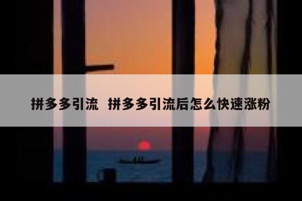 拼多多引流  拼多多引流后怎么快速涨粉