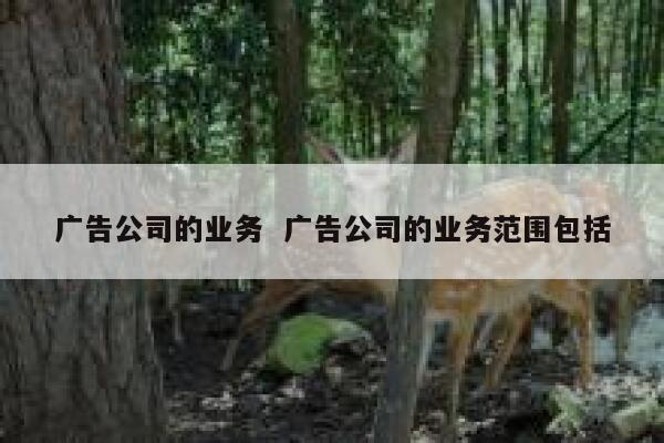 广告公司的业务  广告公司的业务范围包括 第1张
