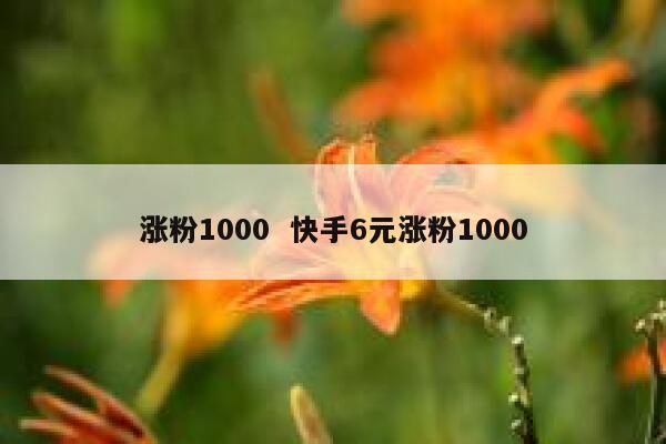 涨粉1000  快手6元涨粉1000