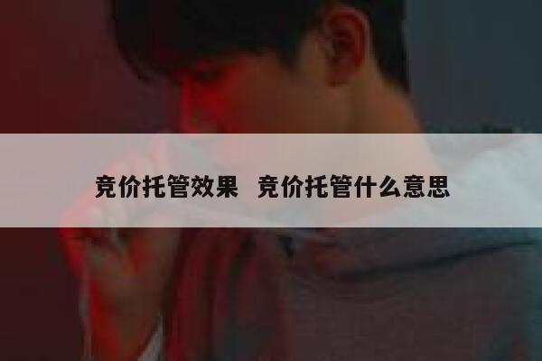 竞价托管效果  竞价托管什么意思