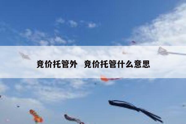 竞价托管外  竞价托管什么意思